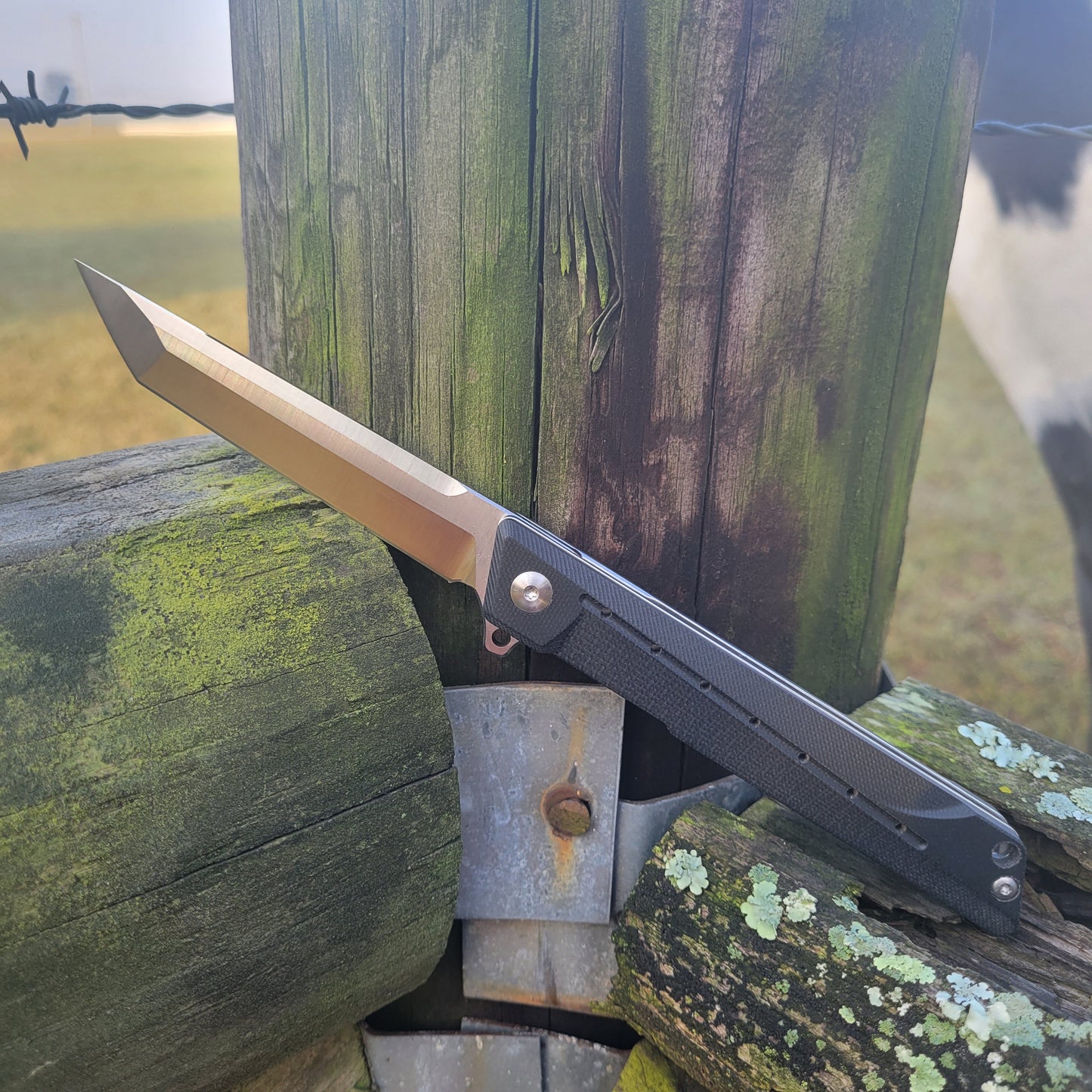 Tokeo Tanto Knife