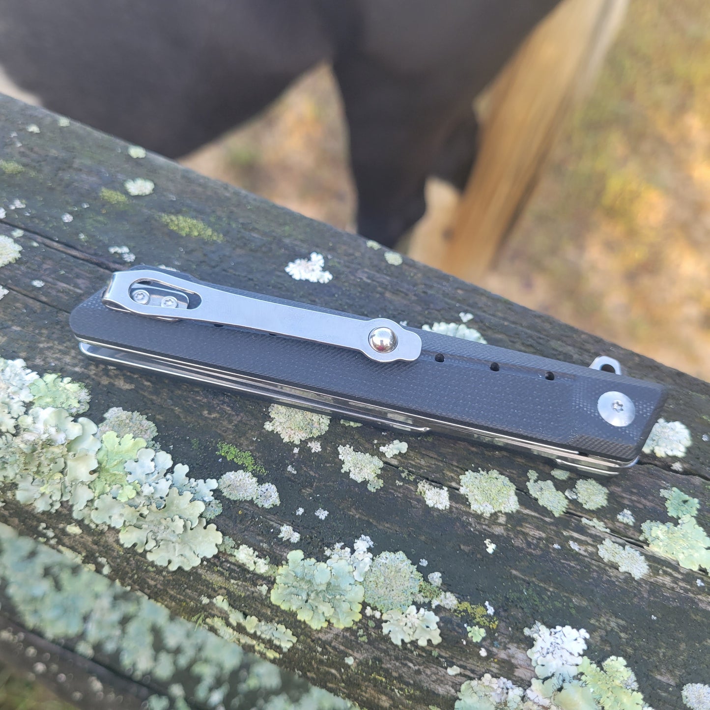 Tokeo Tanto Knife