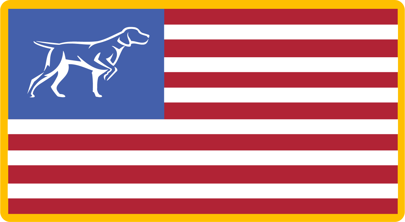 Logotipo de la bandera patriótica americana Pegatina